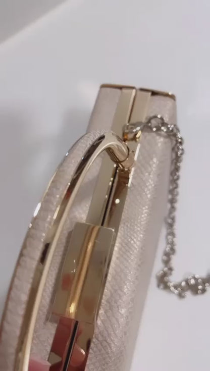 NUEVO - Cartera clutch de fiesta marca La Regale - SOLO QUEDA 1 UNIDAD